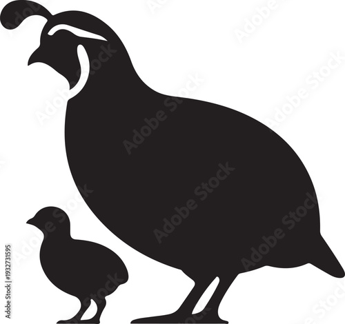 Black silhouette of a quail and chick on white background