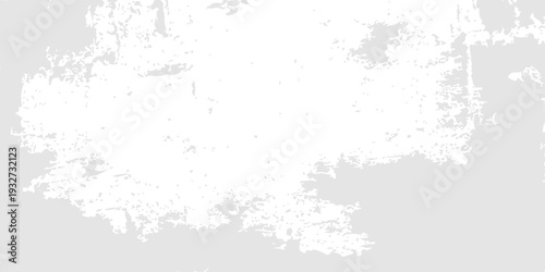 Abstract Grunge Background: A textured, distressed abstract backdrop with subtle variations in tone, evoking a sense of weathered history and modern minimalism.