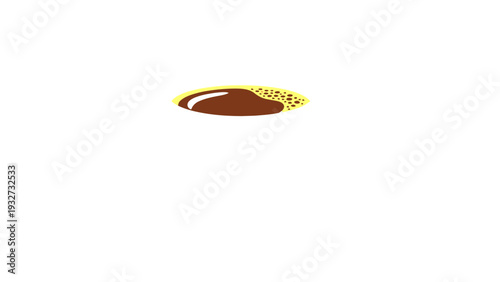 Coffee Bean Isolated on White Background.