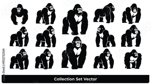 Gorilla Silhouettes Collection in Various Poses and Angles in Black and White Vector Format for Graphic Design