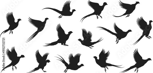 Black pheasant silhouettes illustration, flying bird poses, standing bird icons, avian motion design, wildlife art, hunting theme, elegant feathered animal graphics