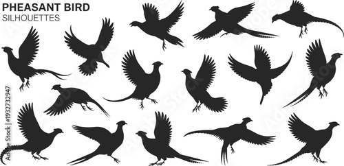 Black pheasant silhouettes illustration, flying bird poses, standing bird icons, avian motion artwork, wildlife design, hunting theme, elegant feathered animal graphics
