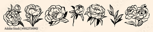 Peony doodle set, hand drawn line flowers, spring holiday Woman Day whimsical March illustration. Summer botanical garden blossom sketch art, ink brush stroke texture. Peony doodle floral print design