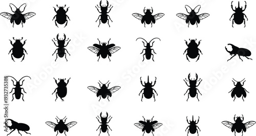 Insect silhouette collection featuring beetles, flies, bugs and winged insects isolated for nature study, entomology, wildlife illustration, pest control and biology design