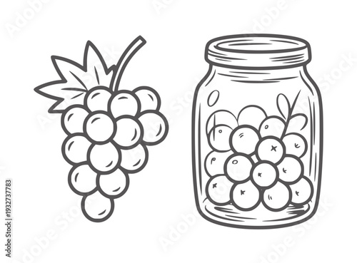 Black and white line of grapes and jar of grapes fruit food