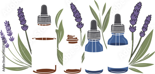 Lavender essential oil bottles with fresh lavender flowers and leaves isolated on white background botanical aromatherapy vector illustration set