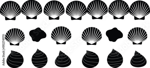 Seashell silhouette collection isolated on white background featuring scallop shells and spiral sea shells black vector illustration set for marine design