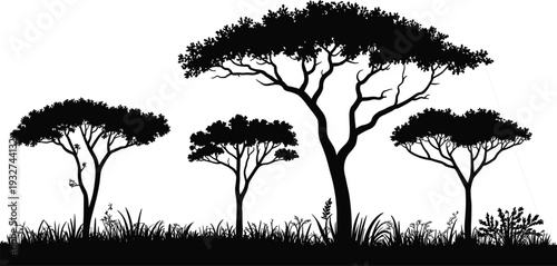 Silhouette illustration of acacia trees in African savanna landscape with grass, shrubs, flat-topped canopies, ecology theme vector art