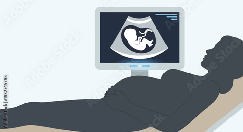 Pregnant Woman Undergoing Ultrasound Scan Showing Fetus Development