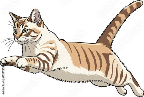 Aegean cat jumping leaping athletic movement vector illustration