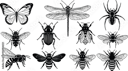 Black Silhouette Vector Set of Insects Including Butterfly, Dragonfly, Spider, Beetle, Bees, and Wasps for Nature Education, Science, and Graphic Design,