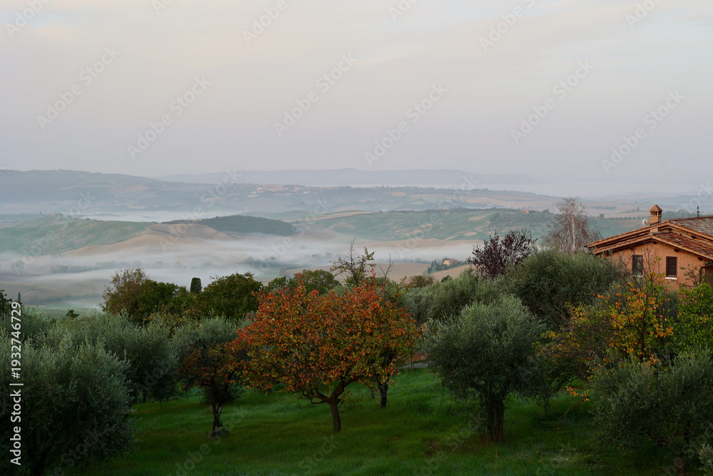 Obraz premium Autumn Morning Countryside near Pienza, Tuscany, Italy