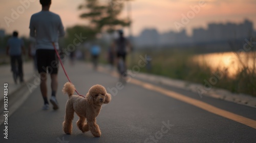 A man walks in the park with a dog in the evening