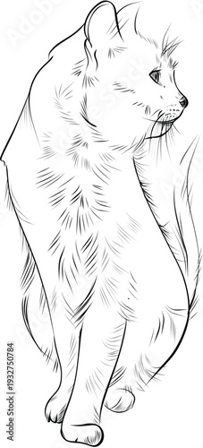 Cat looking sideways quick hand drawn sketch illustration vector