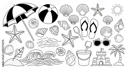 Collection of beach themed items including seashells, starfish, and beach accessories.