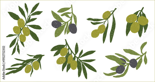 Hand drawn naive olives with leaves silhouette vector set. Simplified shapes and soft natural colors isolated clipart ink illustration. Mediterranean abstract charcoal, pencil or crayon clean design.