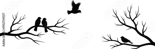 Bird silhouettes on tree branches with flying bird isolated on white background black and white nature illustration minimalist design set