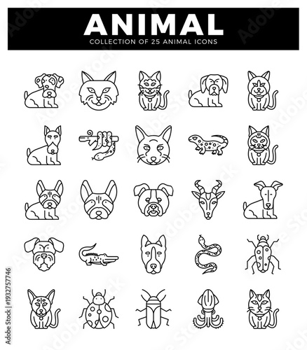 animal icons in outline style on a white background.