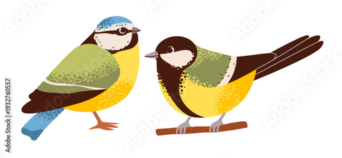 Tit birds perched on a branch. Cute European songbird wildlife concept for nature and spring designs. Flat vector illustration.