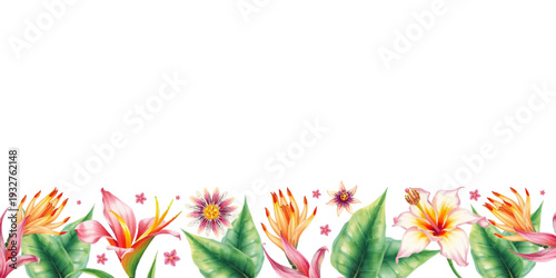 Watercolor summer frame with tropical flowers. Horizontal vector divider, headers, invitations, perfect for seasonal design. Vector.