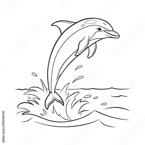 Vector dolphin jumping out of water illustration