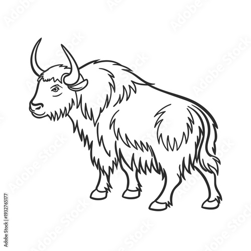 Vector yak illustration