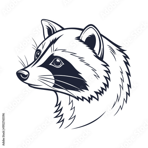 Raccoon head vector illustration