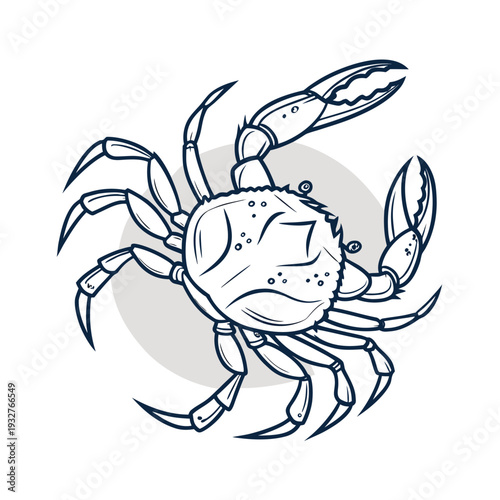 Vector crab illustration