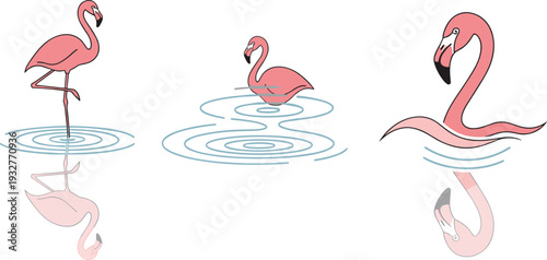 Three stylized pink flamingos depicted in water with reflections on a white background