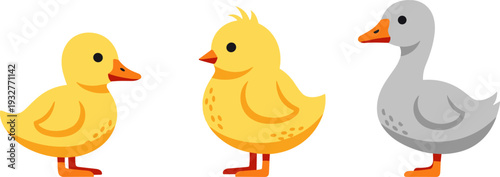 Three cute cartoon ducklings and a gosling standing together on a white background