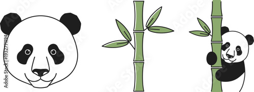 Cute panda bear illustrations with bamboo stalks in a simple line art style