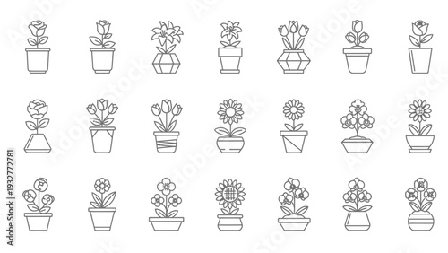 Collection of eighteen distinct potted plant outline vector illustrations featuring various flowers like roses lilies tulips and sunflowers in different containers