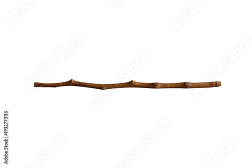Thin brown tree branch or natural twig as a straight stick element isolated on transparent background