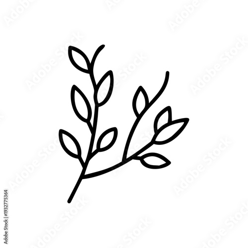 Simple line drawing of a willow branch with leaves  