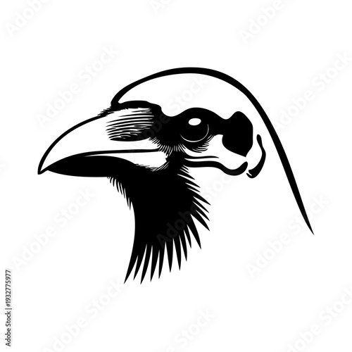 Dibujo sencillo con líneas de la cabeza de un cuervo visto de perfil 