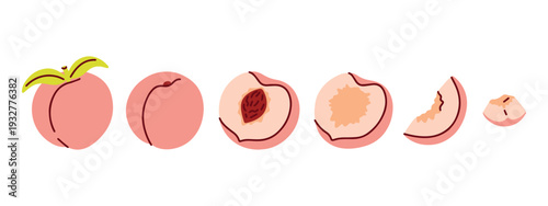 Horizontal border of various peaches from whole fruit to sliced pieces for website divider and summer themed washi tape design or decorative stationery trim