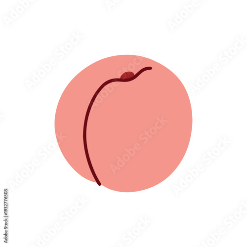 Whole ripe peach fruit with round shape for minimalist logo design organic farm branding and healthy diet food icons