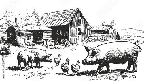 Pigs and chickens farmyard rural countryside scene. Domestic animals walking near barn and wooden buildings. Banner for agriculture branding. Hand drawn illustration sketch style.