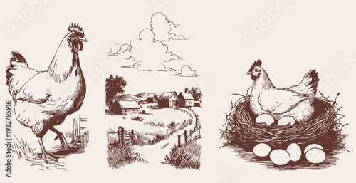 Farm animals countryside chicken nest eggs rural set. Graphics for packaging or editorial design. Vector crayon pencil drawn illustration sketch style with rustic agricultural elements.