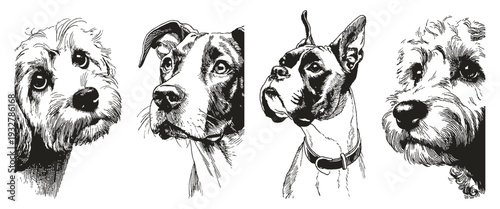 Crayon drawn style mixed small dog portraits. Illustration for greeting cards and pet blogs. Pencil sketch style shows fluffy coats and emotional looks.