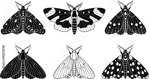 Black butterfly and moth silhouette set with decorative wing patterns, vintage insect illustrations for nature design, forest wildlife and entomology,