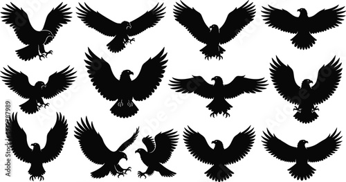 Eagle silhouette collection, flying hawk and falcon bird icons, predator wing spread set, isolated black avian vector shapes for design,