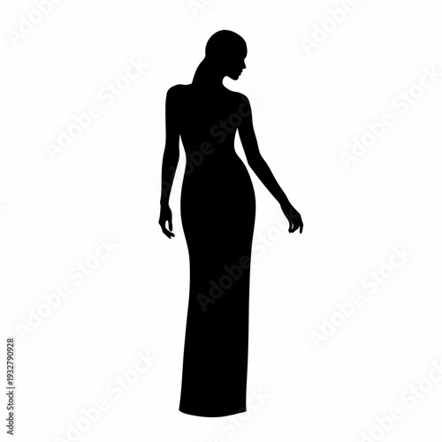 Woman in Long Formal Dress Silhouette.