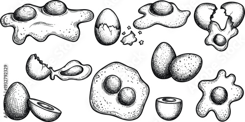 Set of hand drawn egg sketches including fried eggs eggshells and whole eggs art
