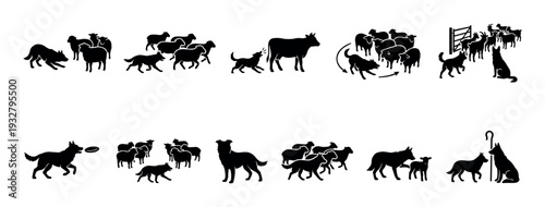 Set of black herding dog silhouettes showing various farm activities like guarding sheep, goats, and cattle, presented as a collection of minimalist icons isolated on a white background