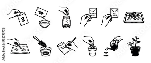 Hand drawn gardening and planting process icons showing steps for growing seeds from packet to sprout in a simple black and white line art style, isolated on white
