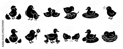 Cute black bird silhouette icon set showing chicks and ducklings hatching from eggs, swimming, sleeping in a nest, and walking with their mother, isolated on a white background
