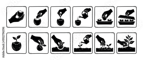 Black and white instructional icons showing the step-by-step process of growing a plant from seed in an eggshell, a gardening guide for transplanting, isolated on white