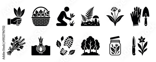 Set of black silhouette foraging and gardening icons showing wild garlic, herbs, mushrooms, and tools for gathering food in nature, isolated on a white background