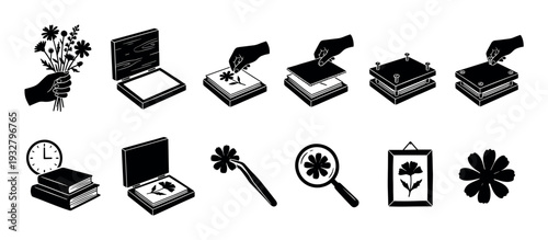 Black silhouette icon set illustrating the flower pressing process from collecting a bouquet to framing the dried botanical specimen for a herbarium, isolated on a white background